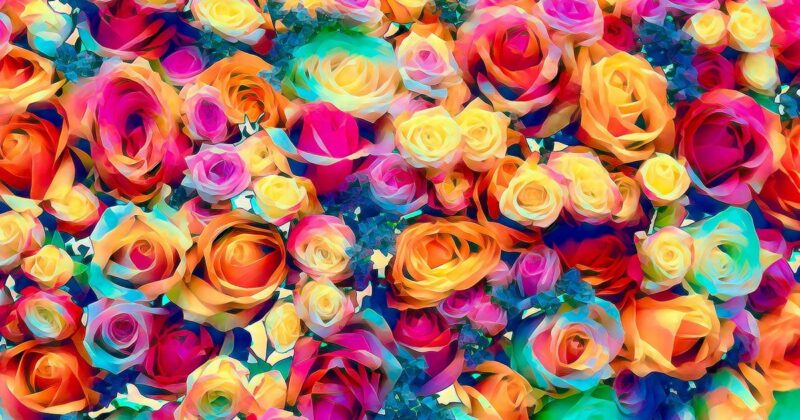 同じ語源なのに意味や見た目が違う「二重語」とは ごがくねこ